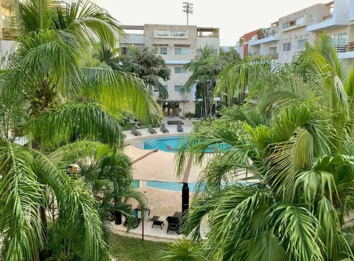 신데 델 카르멘 Marina Excelsior 아파트 0*, 신데 델 카르멘 멕시코